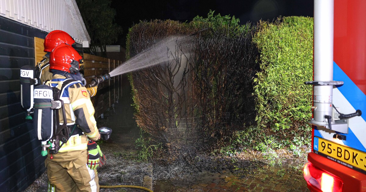 Coniferenhaag in brand, omwonenden voorkomen overslag naar schuurtje