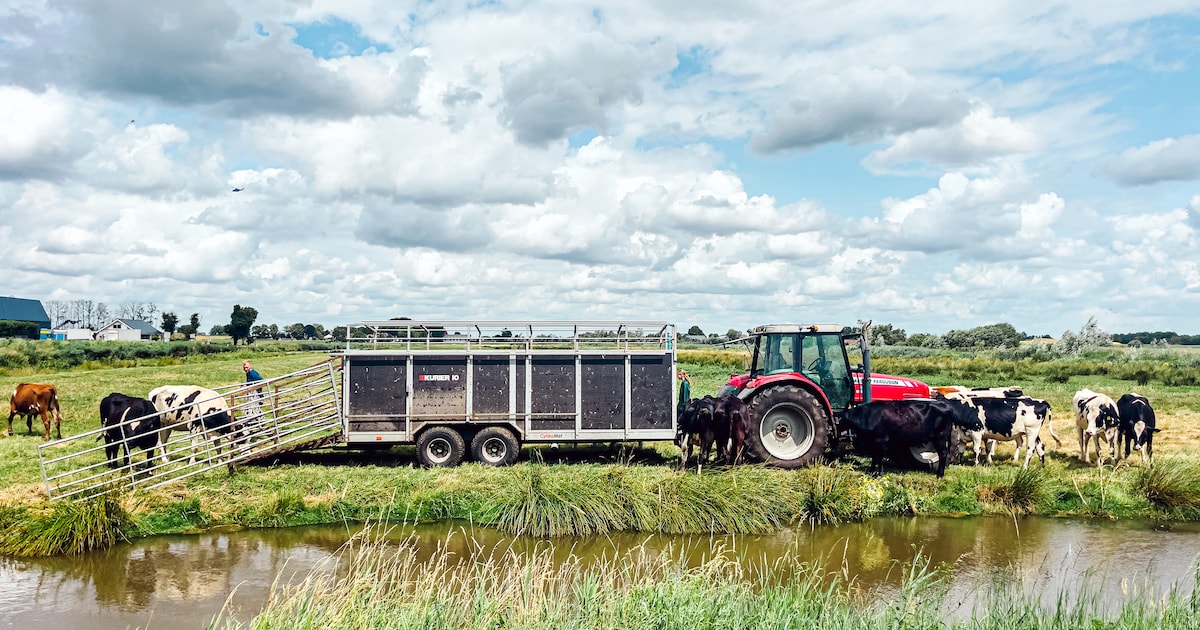 Moties in De Ronde Venen tegen provinciaal landbouwplan: anders ‘einde oefening voor veel bedrijven’