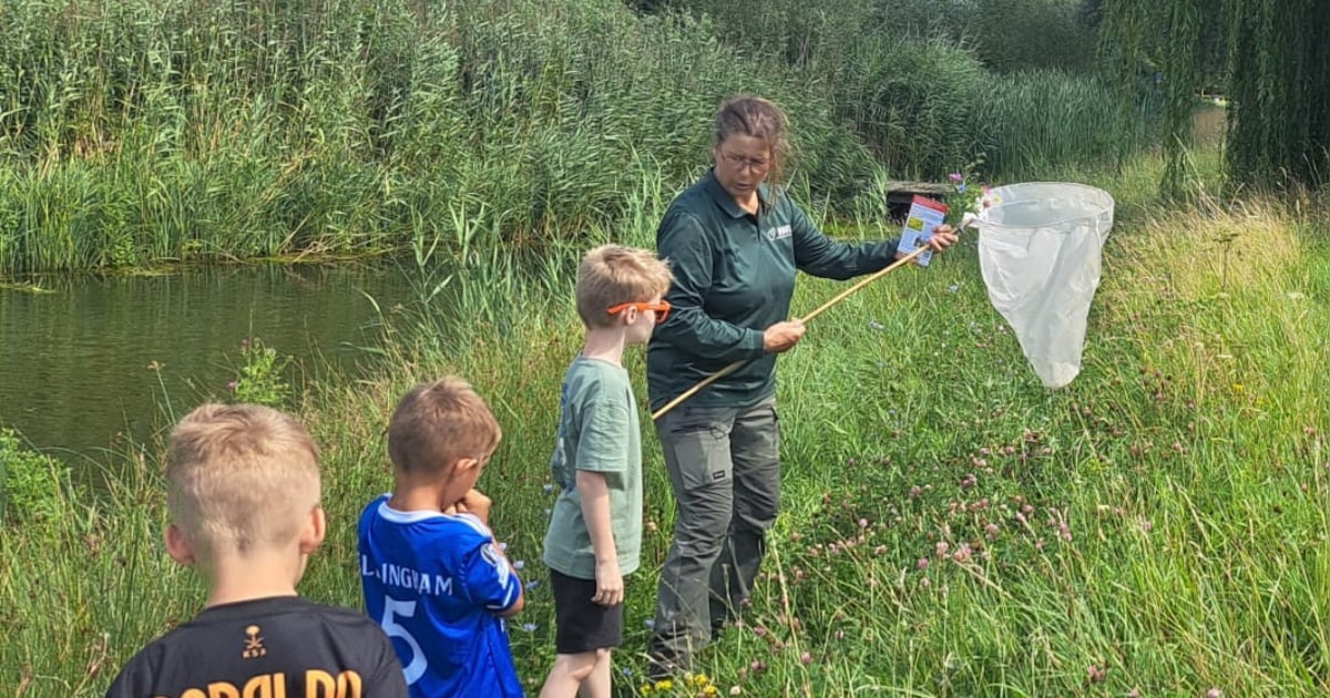 Jeugdnatuurdag in Numansdorp met proefjes en creatieve activiteiten