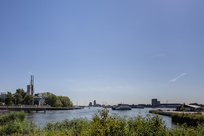 Image related to the article