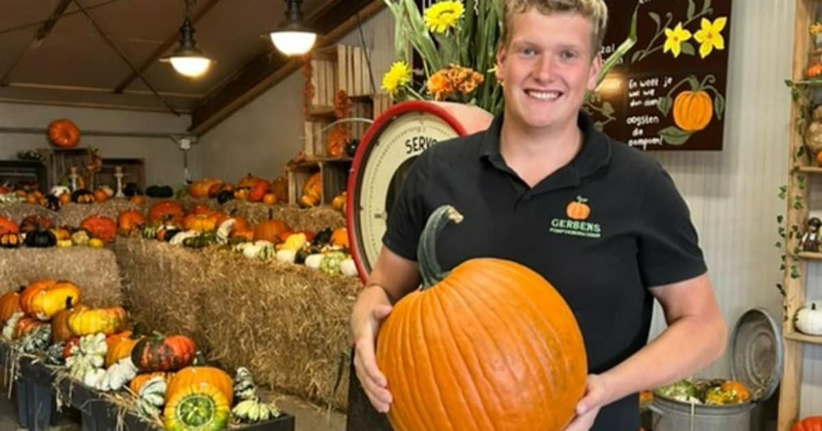 Dit is de dichtstbijzijnde pompoenboerderij in de buurt van Almelo