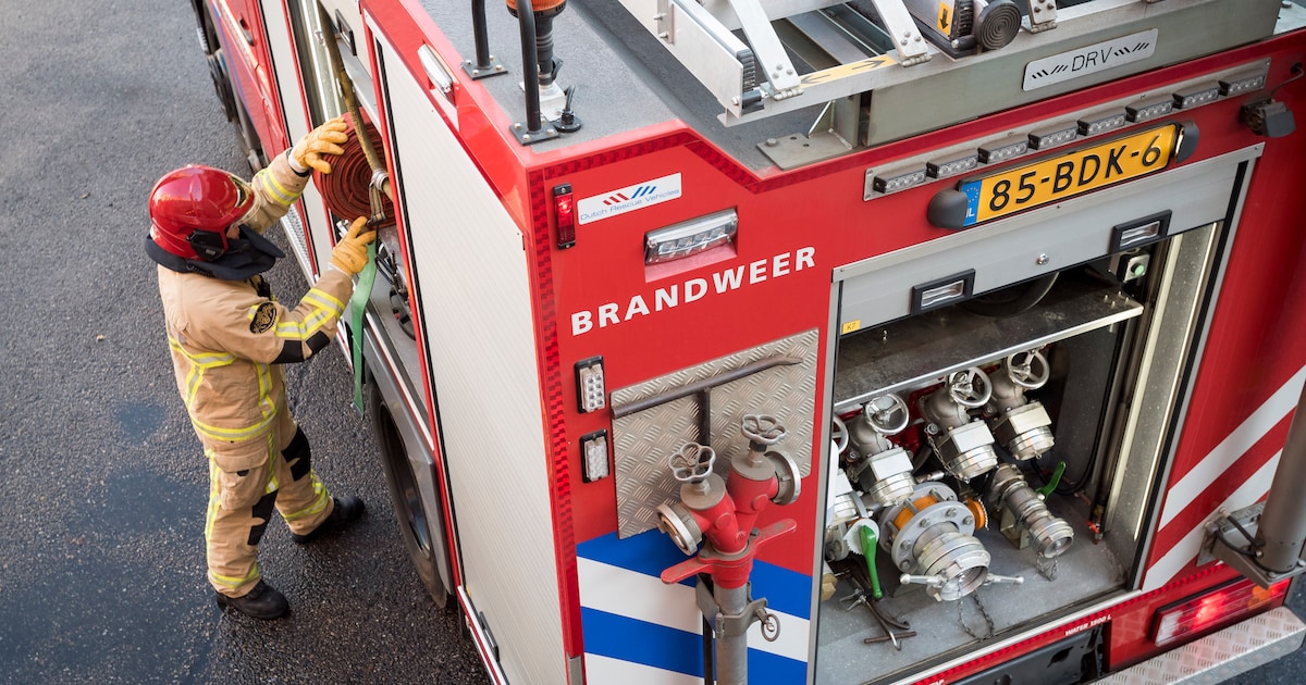 Paarden gered bij brand woonboerderij Nieuw Beerta