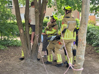 Jongen vast tussen boomtakken bij school, brandweer schiet te hulp