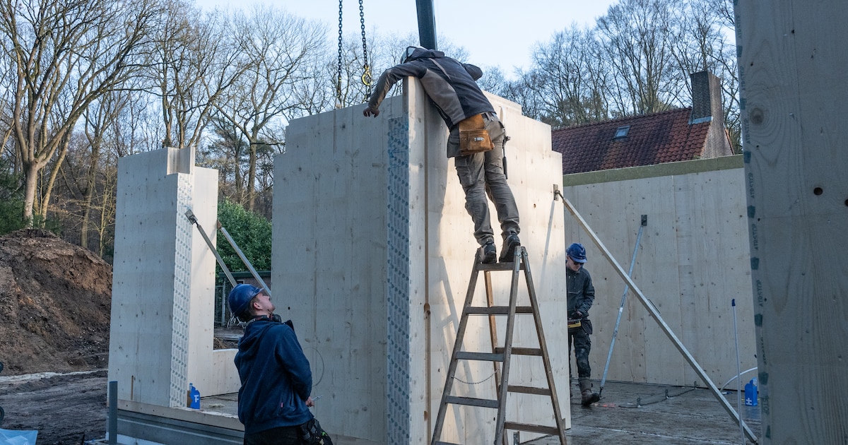 Eerste houten woonwijkje in Oude Tempel in Soesterberg verrijst: ‘Die geur van het hout, dat is toch