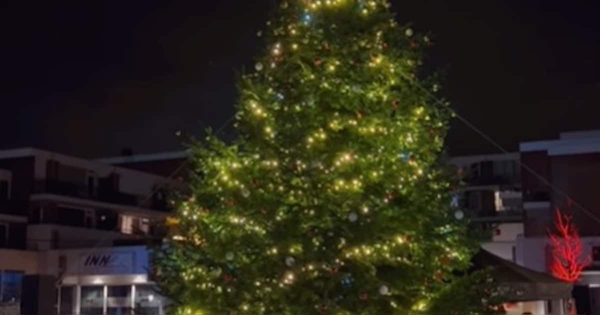 Grootste kerstboom van Hoensbroek verlicht Gebrookerplein