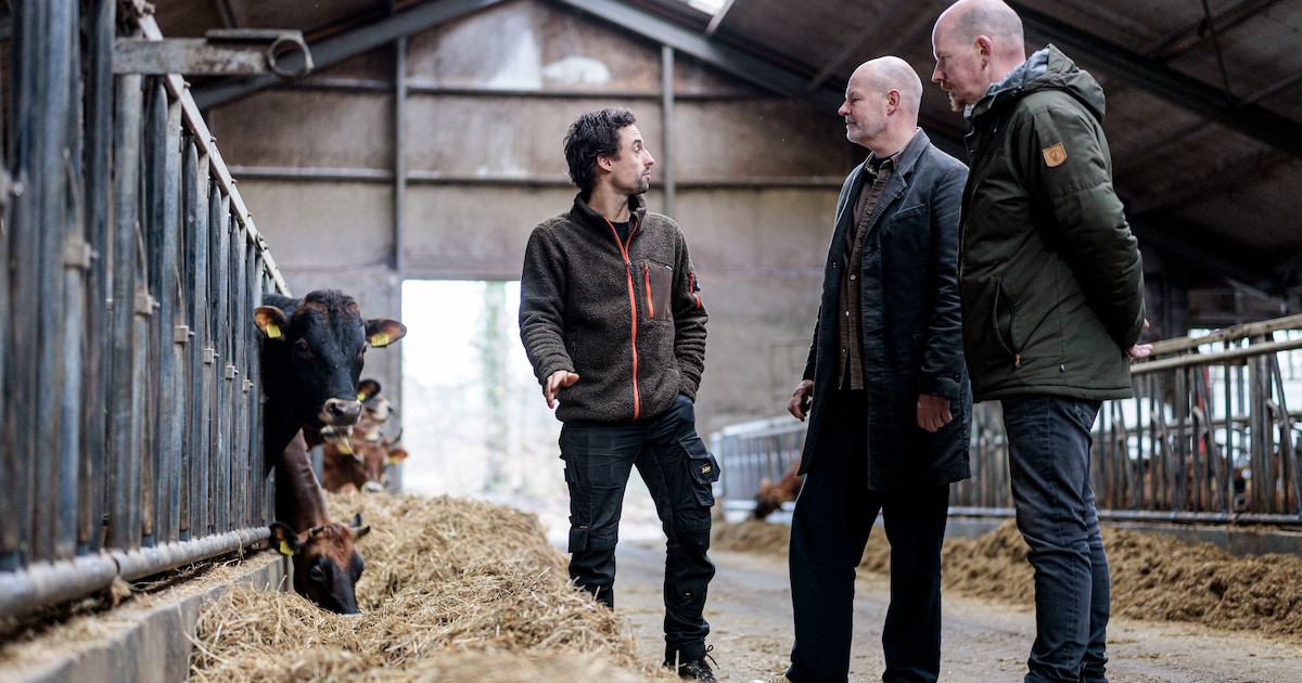 Duo achter Café Coberco in Enschede doet inkopen op het platteland: ‘Je weet precies waar je product