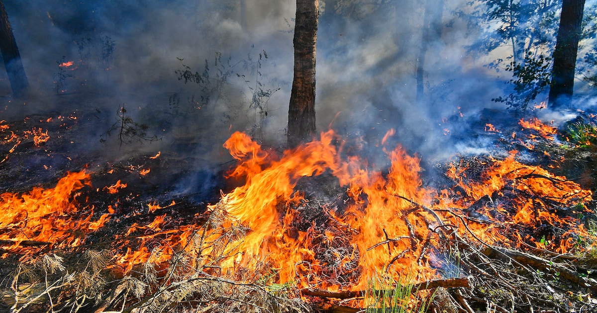 Natuurbrandrisico verhoogd in Drenthe: fase 2 vanaf donderdagmiddag
