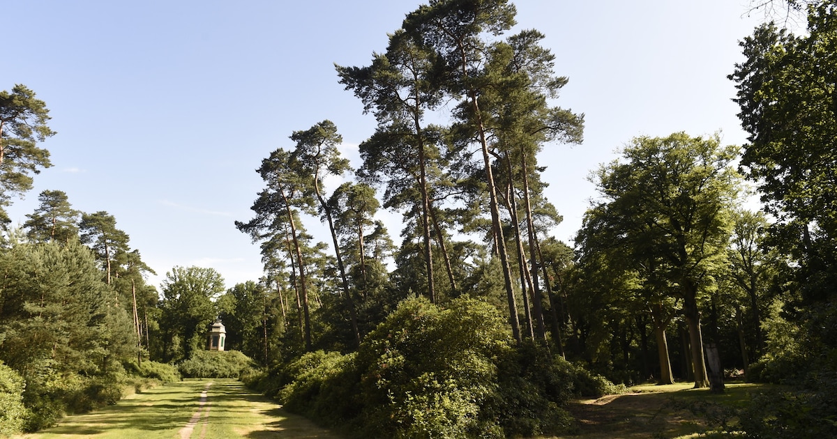 Frisse neus halen in het Moretusbos: Nareka duikt in geschiedenis van kasteeldomein in Stabroek