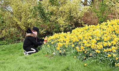 Shorts or winter coat: this is the spring weather forecast for Haarlem