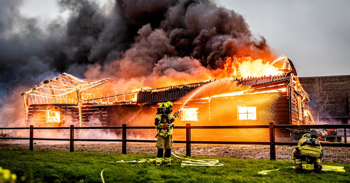 Grote brand verwoest schuur aan Hoeksedijk in Maasdam; paarden gered