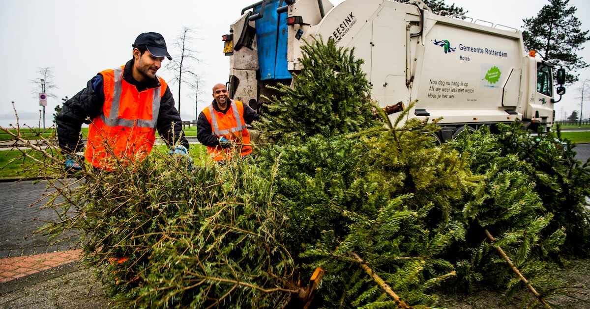 Kerstboom eruit? Vanaf woensdagochtend haalt de buitendienst ze op in Woudenberg