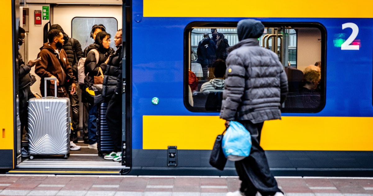 Treinverkeer tussen Schiedam Centrum en Delft Campus ligt stil door dier op het spoor