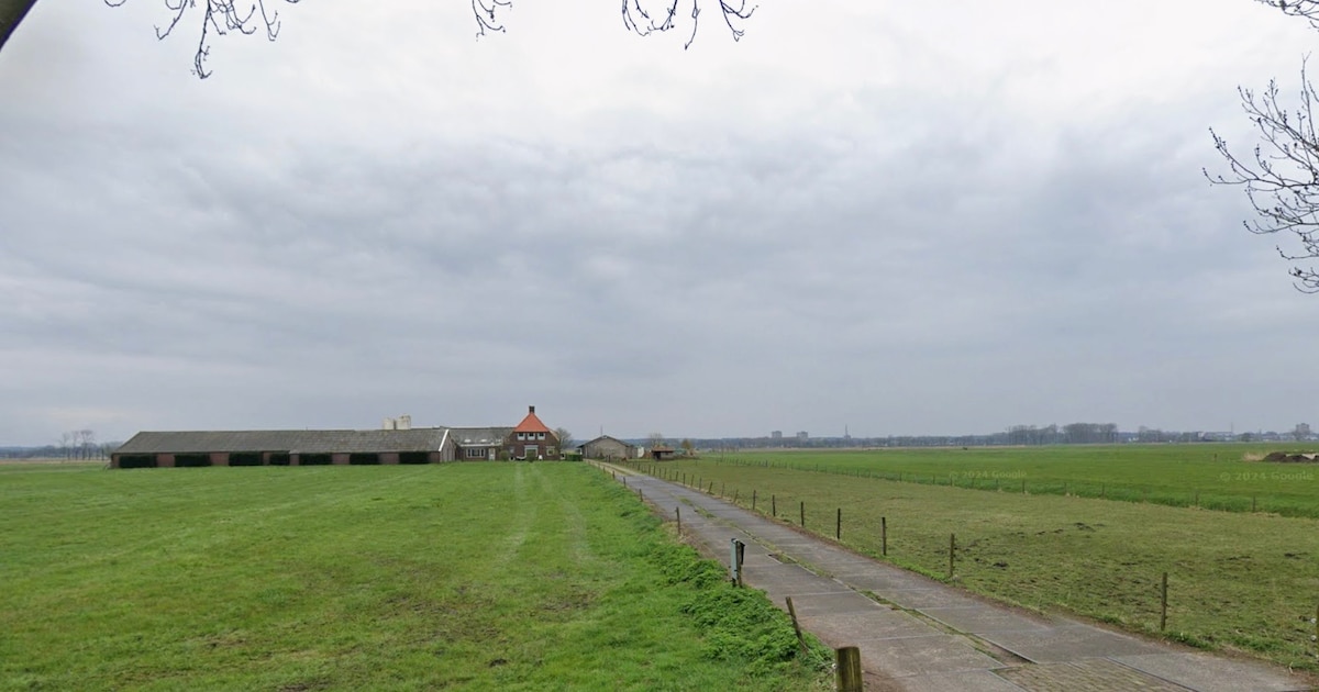 Gemeente Rhenen gaat ‘eigen boerderij’ voor zes jaar verpachten