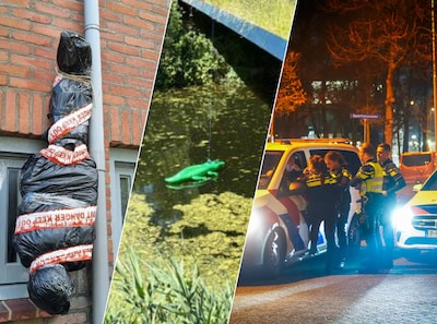 Image related to the article