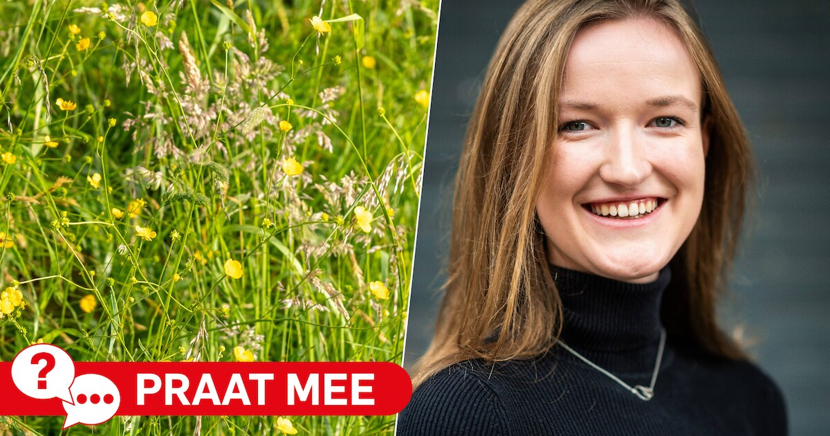 Maai Mei Niet in Nieuwkoop: een goed initiatief of onoverzichtelijk?