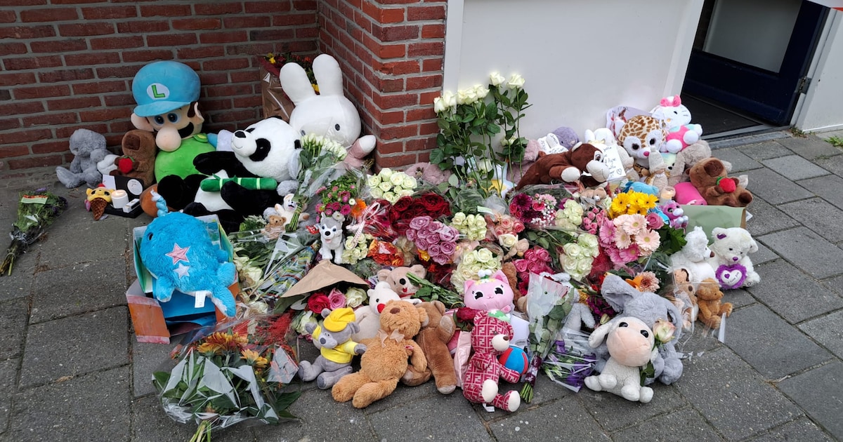 Vader nu niet verdacht van ombrengen vrouw en meisje in Terneuzen, politie  onderzoekt meerdere scenario's | Terneuzen | AD.nl