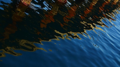 Lezing over geschiedenis van de Maas in Waspik