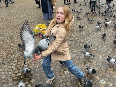 Animal Day in Amsterdam: 4 things to do on Sunday, October 4