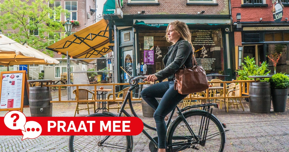 Is een regionaal deelfietsensysteem een goed idee voor Delft?