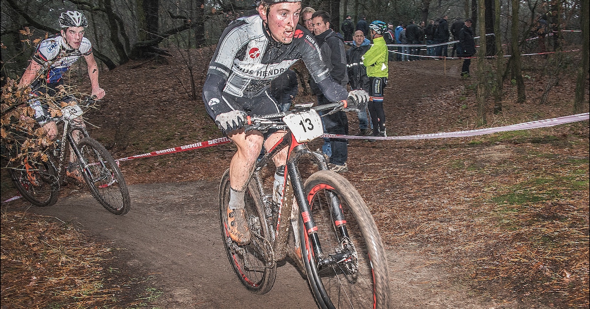 Mountainbiken door Museumpark en bossen van Overloon