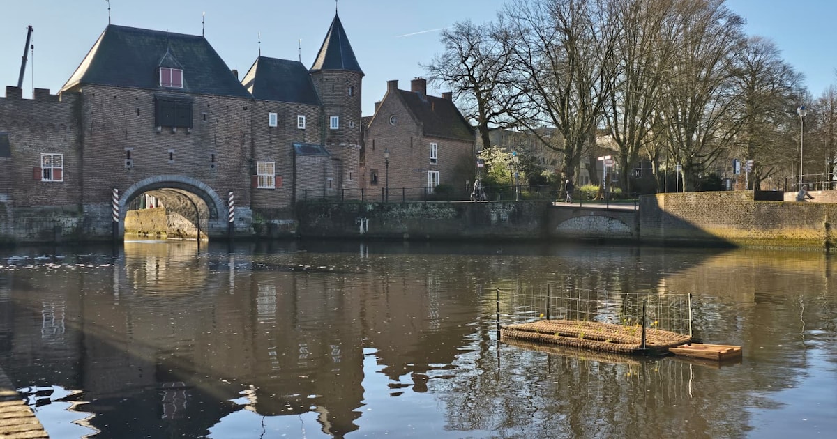 De favoriete hotspots van Lisette, een vreemd eilandje voor de Koppelpoort en meer berichten van afg