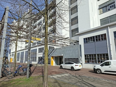 Image related to the article