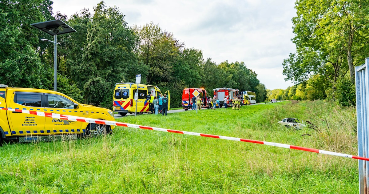 Oude Porsche belandt in de sloot in Zeewolde