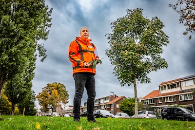 Hoop voor zieke kastanjes in Dordt: proeftuin vindt kansrijke overlevers