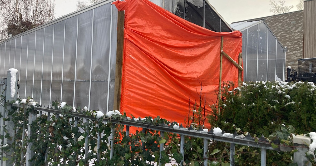 Groentenkas van Eindhovense school vernield door oudejaarsbrandje