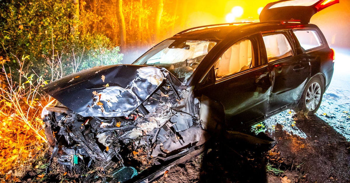 Automobilist ramt boom langs de Scharreveld in Eursinge