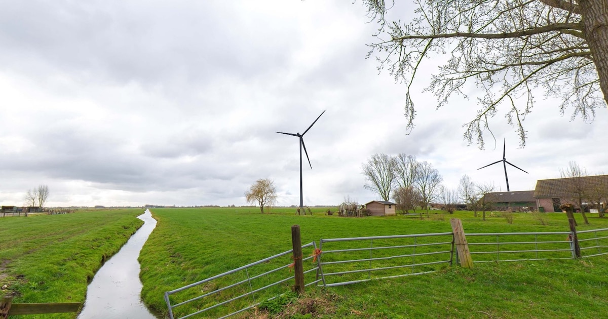 Ontwikkelaar windpark Reijerscop meldt zich en is bereid tot extra studie naar gevolgen: ‘Zorgvuldig
