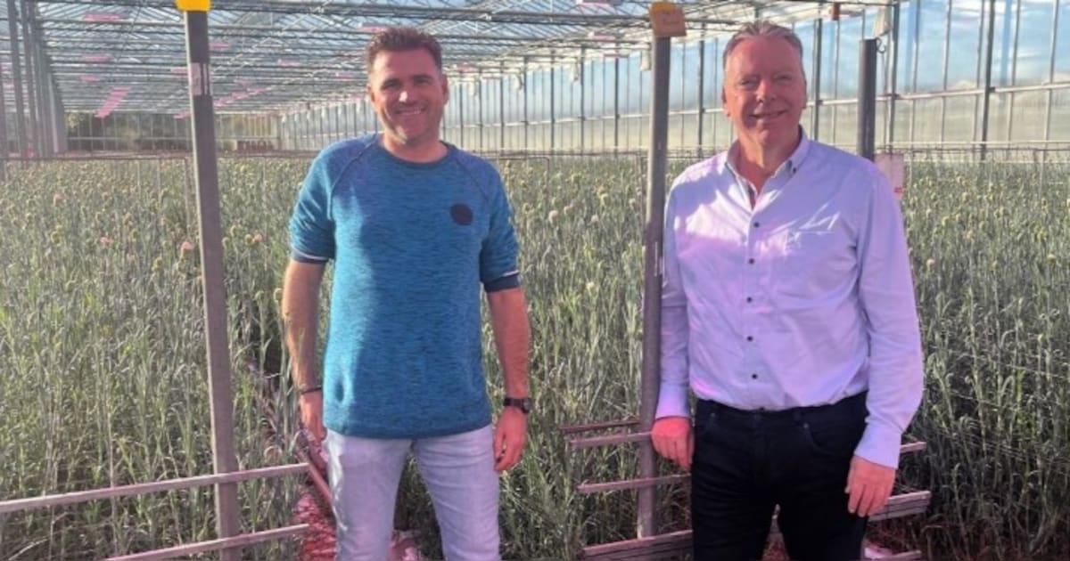 Divine Flowers uit Hoek van Holland sluit zich aan bij Decorum