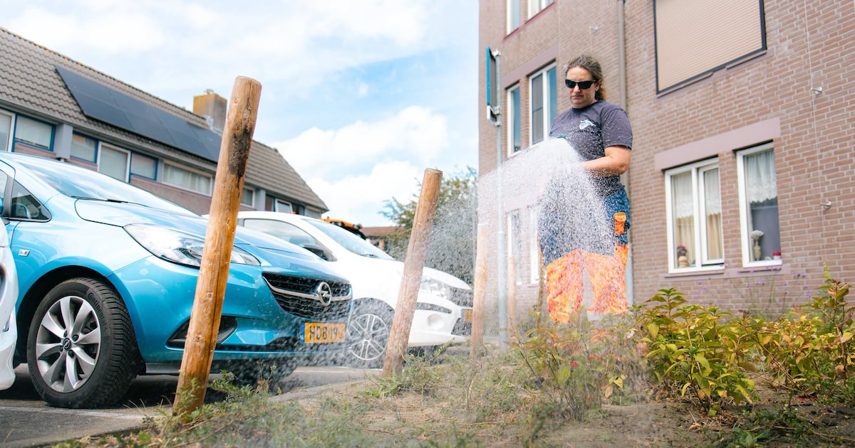 Gemeente Terneuzen geeft jonge bomen en planten extra water