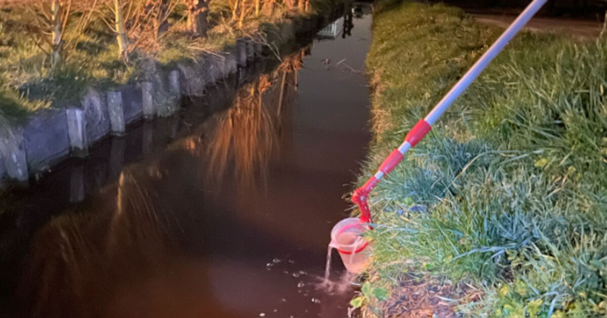 Komkommerteler uit Honselersdijk loost illegaal vervuild water in de Oude en Nieuwe Broekpolder
