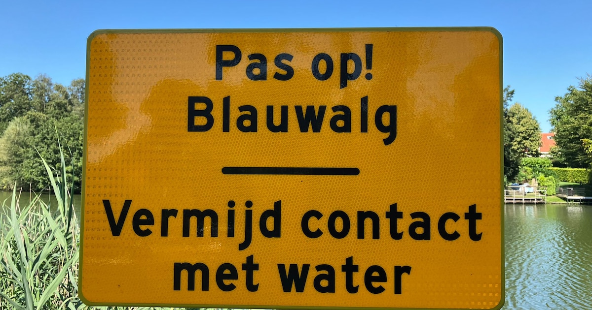 Waarschuwing voor blauwalg in zwemplassen in Emmen en Tynaarlo