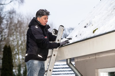 Image related to the article