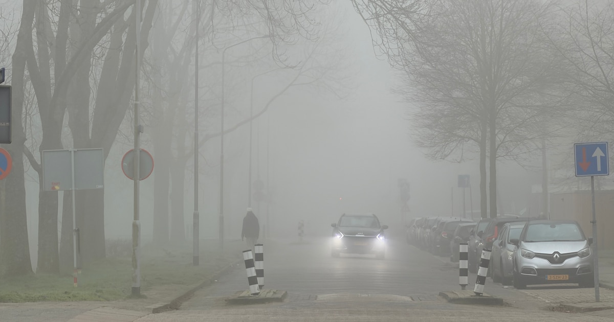 Code geel voor dichte tot zeer dichte mist in de regio | Regio | AD.nl