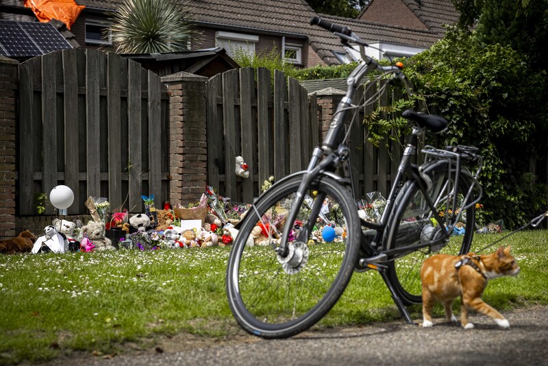 Steeds meer mensen leggen bloemen en knuffels neer bij de plek waar de 9-jarige Gino werd gevonden. De 22-jarige Donny M. is aangehouden op verdenking van ontvoering en betrokkenheid bij de dood van het jongetje.