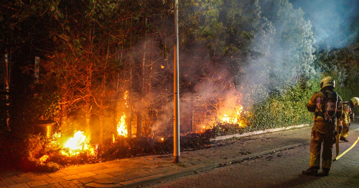 Coniferenhaag in brand aan de Wylgewei in Twijzelerheide