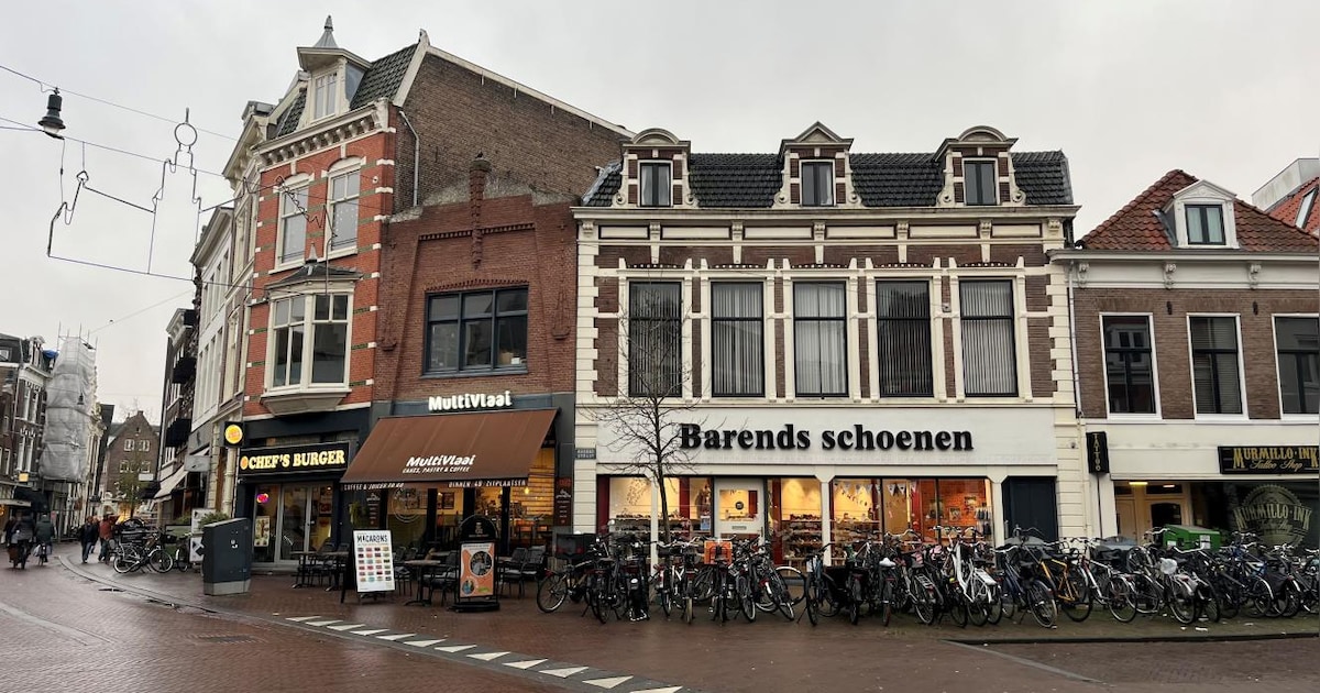 ‘Michelangelo van de Lage Landen’ krijgt monument in centrum van Haarlem