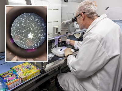 Image related to the article