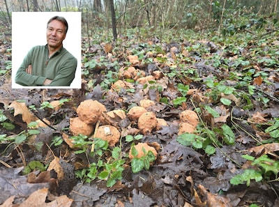 Image related to the article