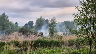 Vlammen in park langs Provincialeweg in Dordrecht: brand onder controle