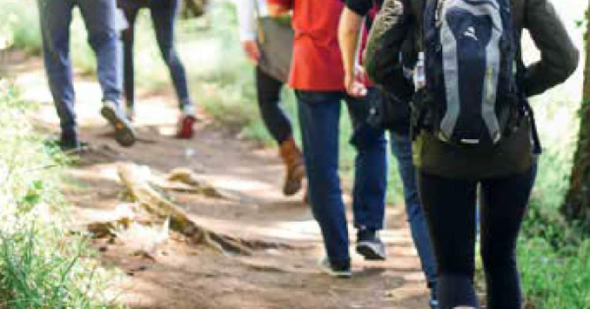 S-Sport Kalmthout organiseert natuurwandeling door Horendonkse bossen