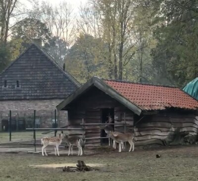 Kinderboerderij Valkenswaard krijgt z’n gedroomde veldschuur: ‘Geen luxe, maar pure noodzaak’