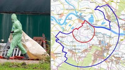 Burgemeester Berg en Dal na nieuw vogelgriepgeval bij Millingen: ‘Scherm hobbyvogels af’