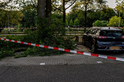 Auto beschadigd door afgebroken tak bij ziekenhuis in Helmond