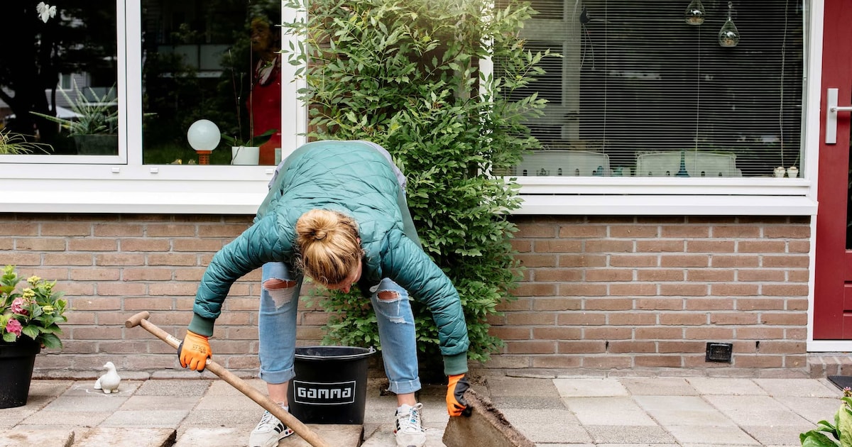 Vaals doet mee aan NK Tegelwippen en zet Tegeltaxi in