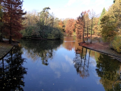 Deze plekken zijn perfect voor een wandeling in de herfst