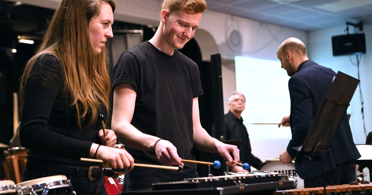 Optredens van showkorpsen en dansgroepen op Drumbandfestival in Burgum